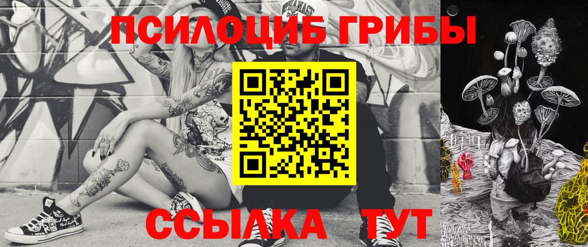 Краснотурьинск  Галлюциногенные грибы Magic Shrooms  Вход с VPN 
