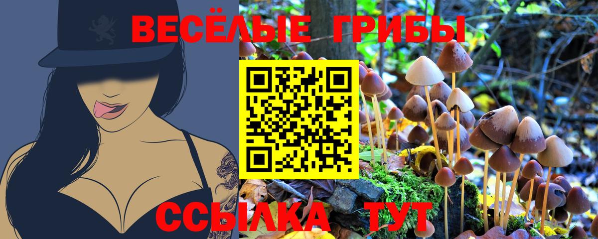 Псилоцибиновые грибы мицелий Краснотурьинск